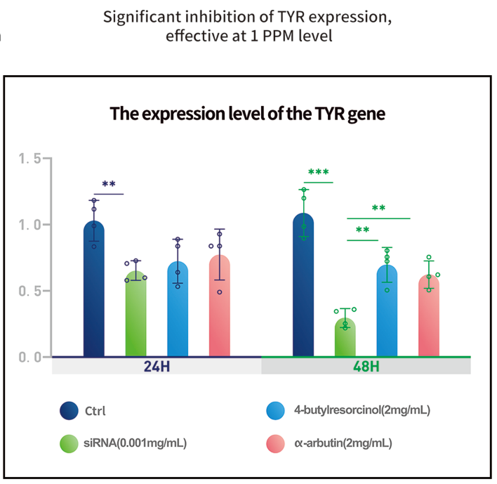 ส่วนผสมที่ออกฤทธิ์ของ siRNA ในผลิตภัณฑ์ดูแลผิว ส่วนผสมที่ออกฤทธิ์ของ siRNA ในผลิตภัณฑ์ดูแลผิว