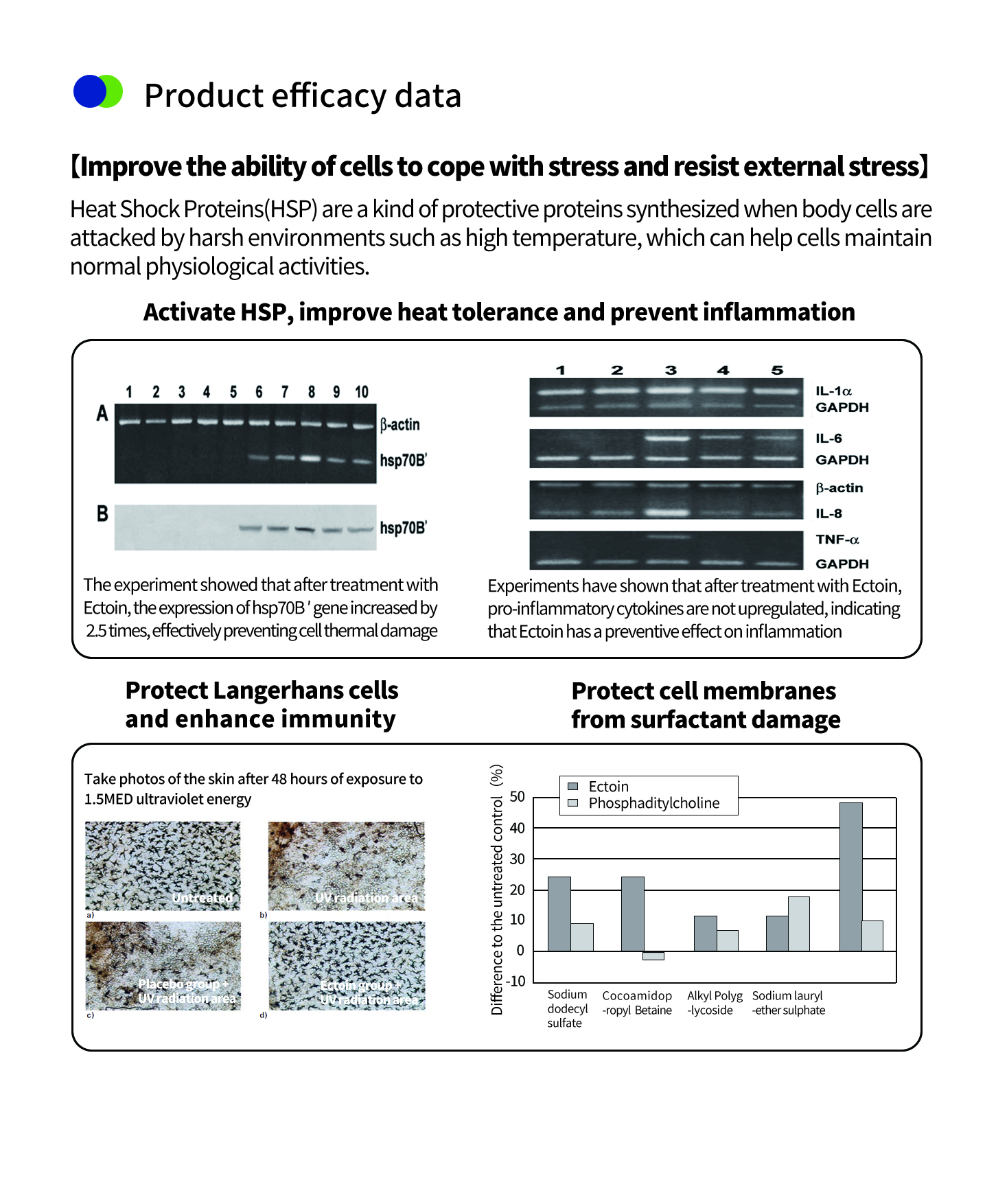 ผงเอ็กโทอินสำหรับผิว