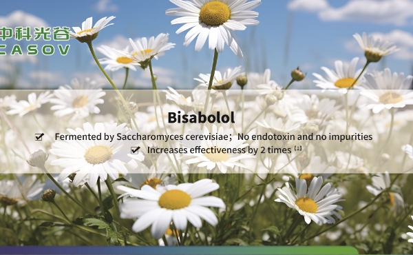 <font dir="auto" style="vertical-align: inherit;"><font dir="auto" style="vertical-align: inherit;">พลังของอัลฟาบิซาโบลอลสำหรับผิวหนัง (หมายเลข CAS: 23089-26-1): คู่มือที่ครอบคลุม