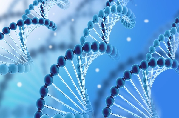 แอล-ฟูโคส