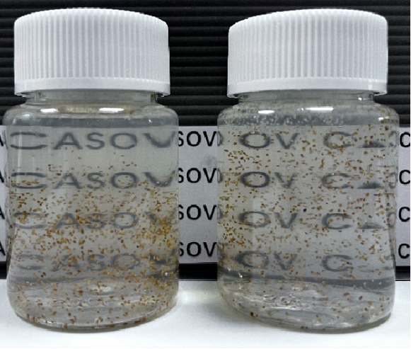 ไบโอซัสป์ บีซี