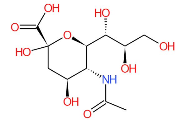 กรด N-acetylneuraminic