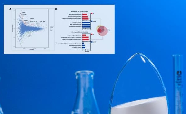 นิตยสารความงามที่มีชื่อเสียงระดับสากล "Sofw Journal": OMICS Technology &amp; N -Acetylneuraminic Acid - การถอดรหัสความลับของผิวอ่อนเยาว์