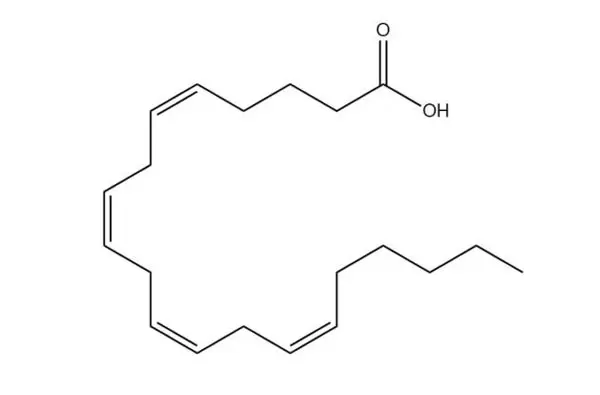 กรด Arachidonic (ARA)