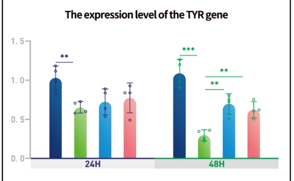 ส่วนผสมสำคัญของ siRNA: อนาคตของการดูแลผิว