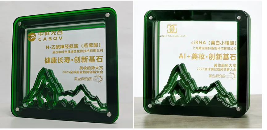 รางวัลนวัตกรรมคู่